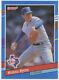 Nolan Ryan P Texas Rangers Donruss Leaf 1991 #89 Mlb Baseball Trading Card